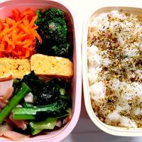 12/8娘のお弁当